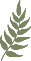 fern-icon fern-icon
